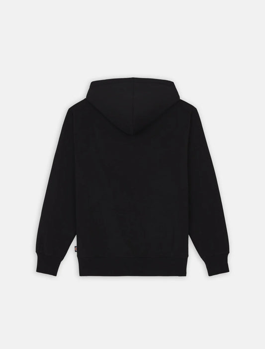 Sweat à capuche pour Homme DICKIES Summerdale
