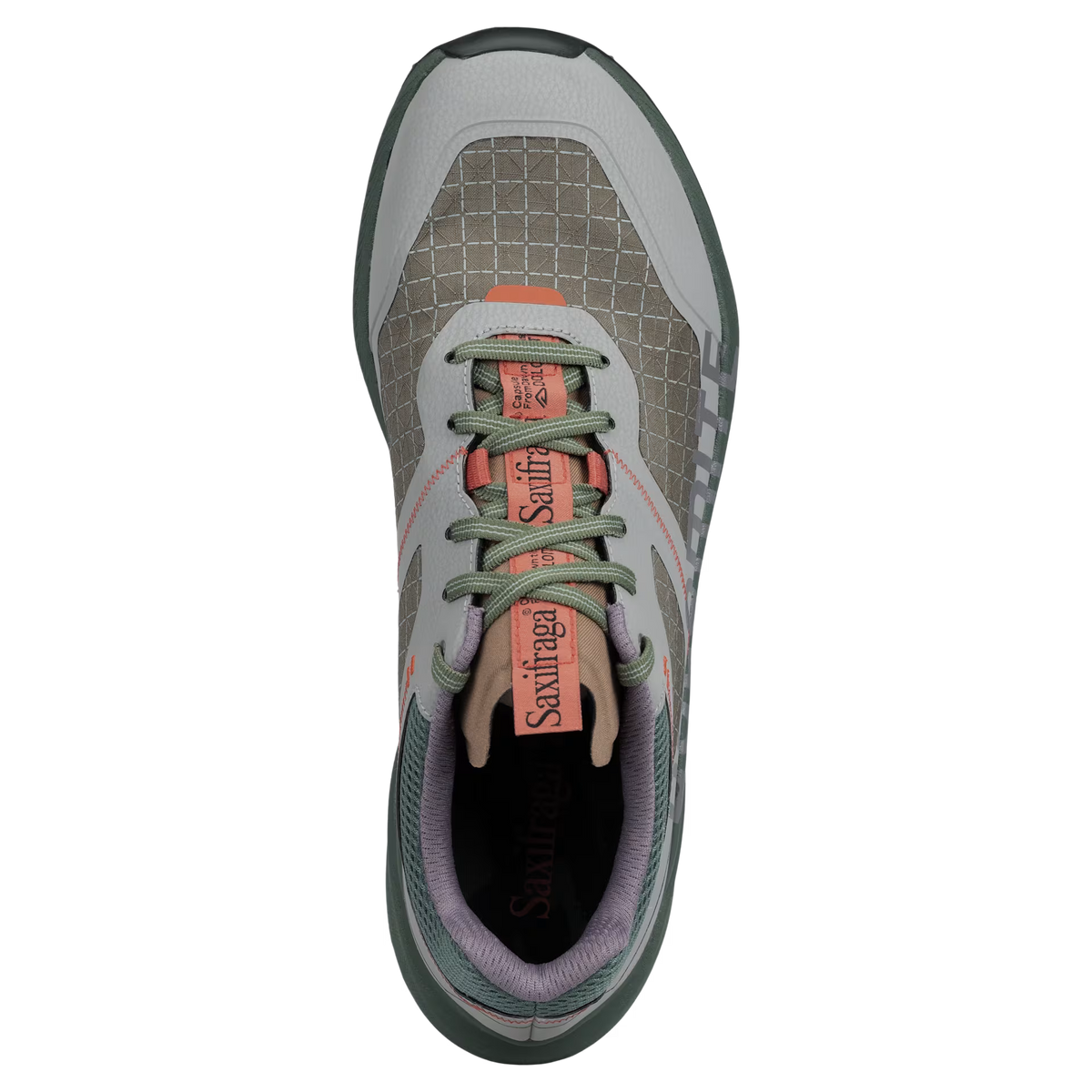 Chaussures femme DOLOMITE Nibelia Saxifraga GTX