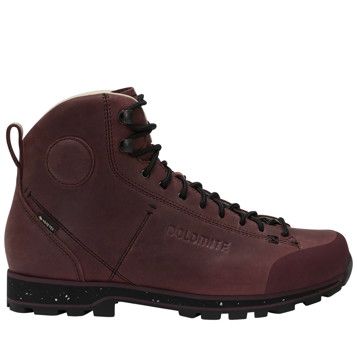 Chaussure pour Homme DOLOMITE 54 High FG Evo GORE-TEX