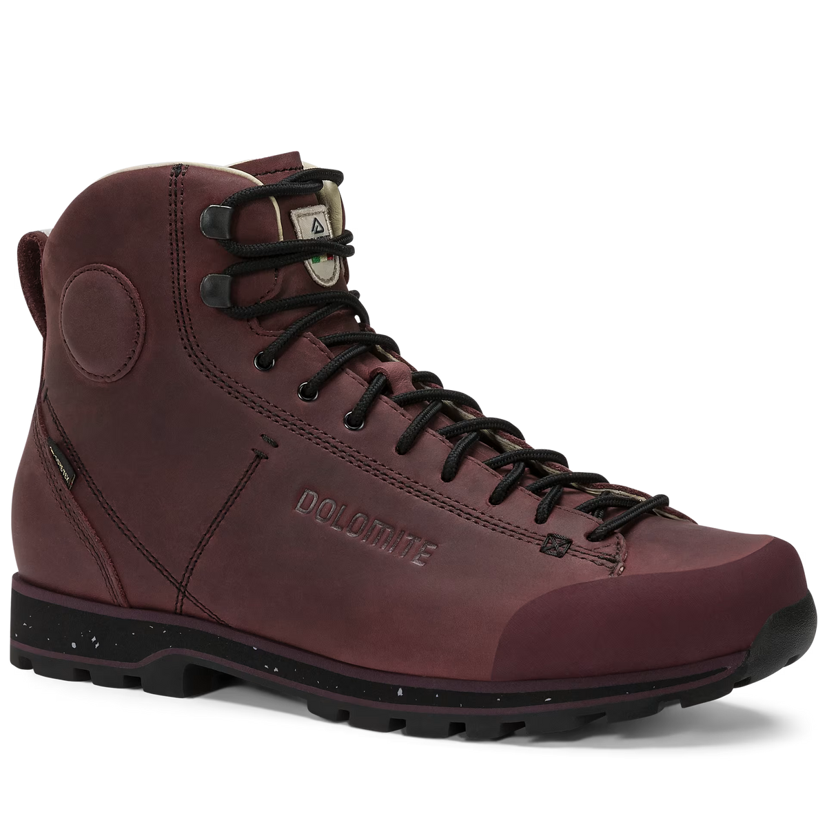 Chaussure pour Homme DOLOMITE 54 High FG Evo GORE-TEX
