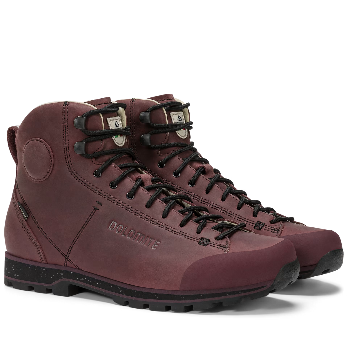 Chaussure pour Homme DOLOMITE 54 High FG Evo GORE-TEX