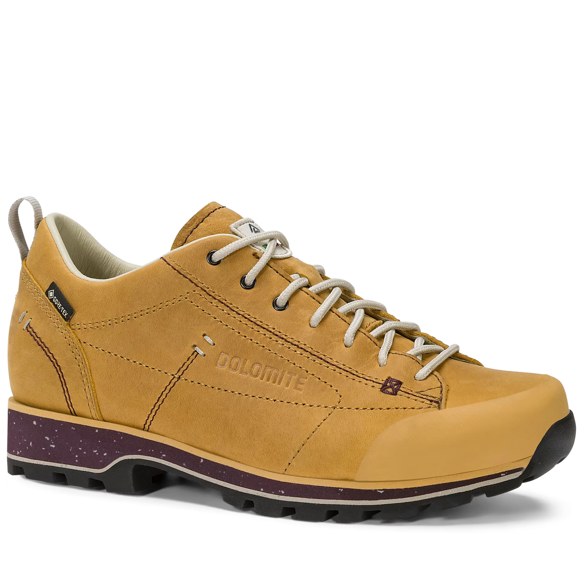 Chaussure DOLOMITE 54 Low Fg Evo GORE-TEX