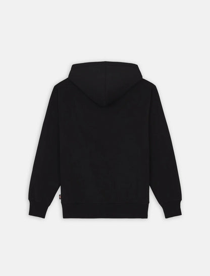 Sweat à capuche pour Homme DICKIES Summerdale