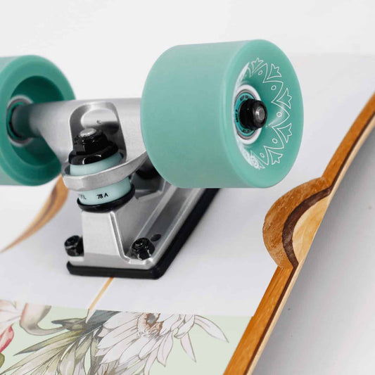 Longboard Mini Cruier BTFL Cami, 72.5cm