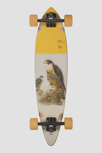 Longboard GLOBE Pintail 34, Falcon
