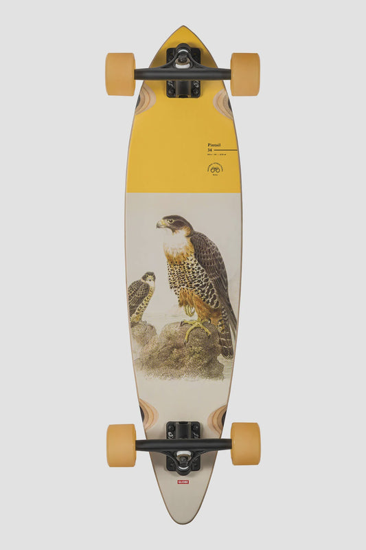 Longboard GLOBE Pintail 34, Falcon
